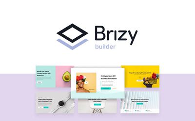 Brizy-Design-Kit