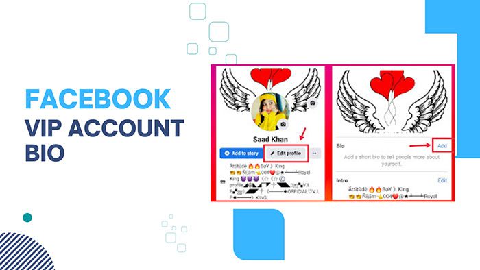 Facebook-VIP-Account-Bio