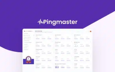 Why Everyone Is Talking About Pingmaster’s Lifetime Deal? A Revealing Review!