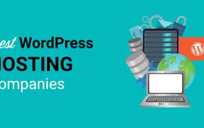 Best Domain Hosting for Small Business: Top Picks for Success