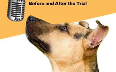 Hosting a Scebt Trial: Ultimate Guide to Boost Your Sales Fast