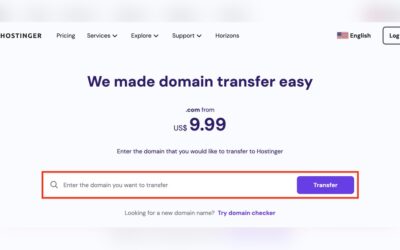 Hostinger Domain Transfer Price: Affordable Rates You Can Trust