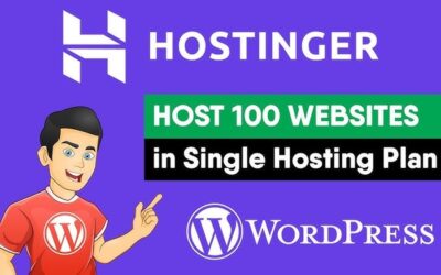 Hostinger Single Hosting Plan: Ultimate Guide to Affordable Power Hosting