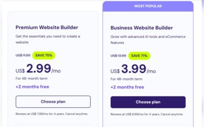 How Much Does Hostinger Cost: Unveiling Affordable Hosting Plans